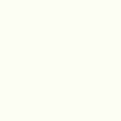4100mm x 1300mm x 0.8mm 0085 FH White Fundermax High Pressure Laminate